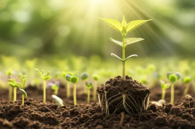 Illustration stretches - Image 1