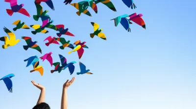 Illustration steering - Image 1