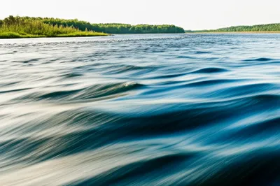 Illustration persist - Image 1