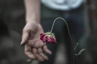 Illustration maiming - Image 1