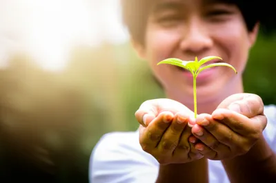 Illustration sincere