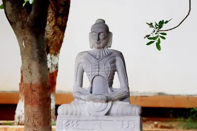 Illustration emaciations - Image 2