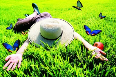 Illustration idleness - Image 1