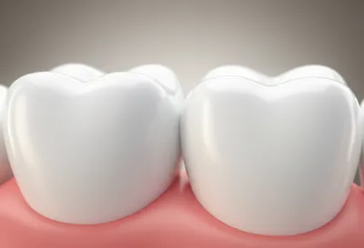 Illustration proximal - Image 1