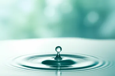 Illustration mild - Image 1