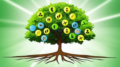 Illustration vital - Image 1