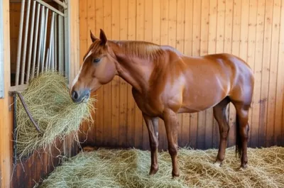 Illustration stalling - Image 1