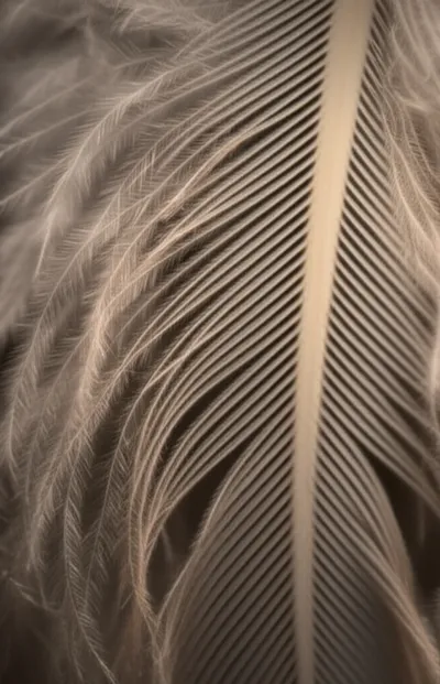 Hình ảnh minh họa barbule - Ảnh 1