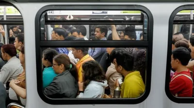 Illustration sardined - Image 1