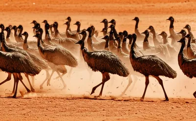 Illustration mob - Image 1