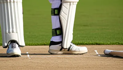 Illustration guard - Image 1