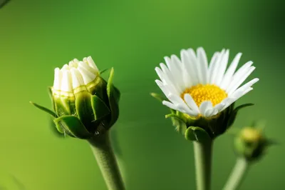 Illustration then - Image 1