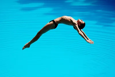 Illustration dives - Image 1