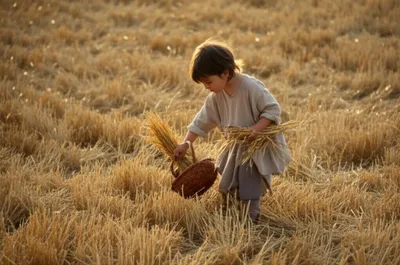 Illustration leased - Image 1