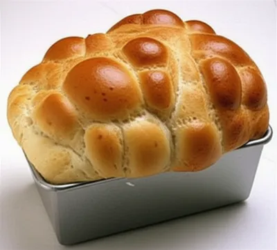 Illustration yeasts - Image 1