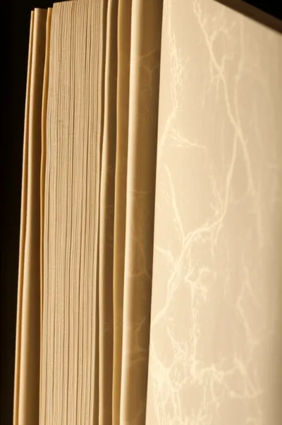 Illustration endpapers - Image 1