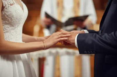 Illustration plighted - Image 1