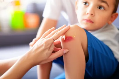 Illustration salve - Image 1