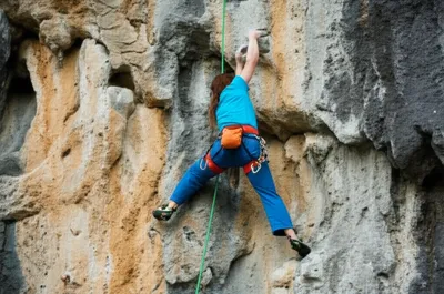 Illustration harnesses