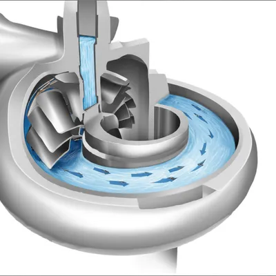 Illustration scrolls - Image 1