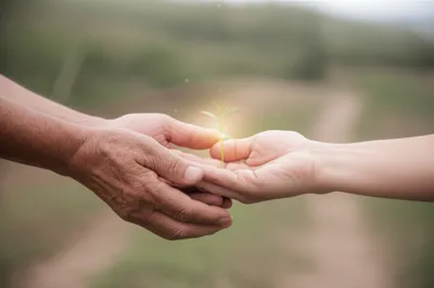 Illustration shipping - Image 1