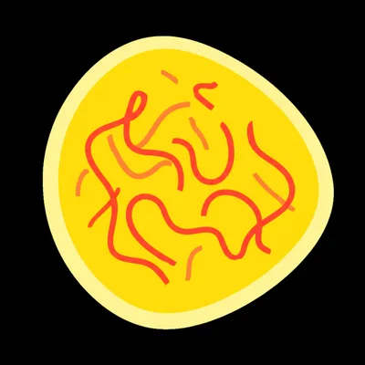 Illustration bacterium