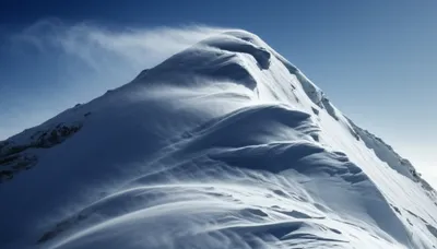 Illustration crest - Image 1