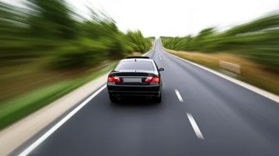 Illustration backs - Image 1