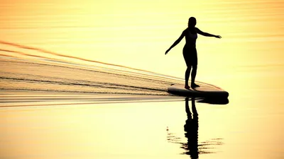 Illustration skimmer - Image 1