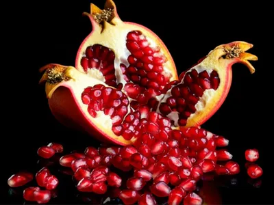 Illustration bursts - Image 1