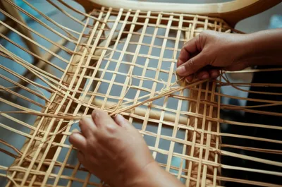 Illustration cane - Image 1