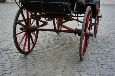 Illustration gather - Image 1