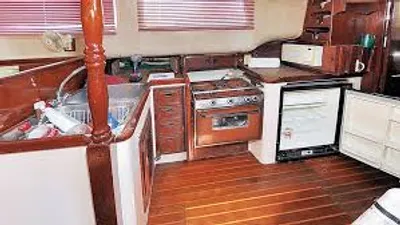 Illustration galley - Image 2