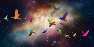 Illustration flown - Image 1