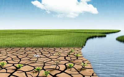 Illustration replenishment