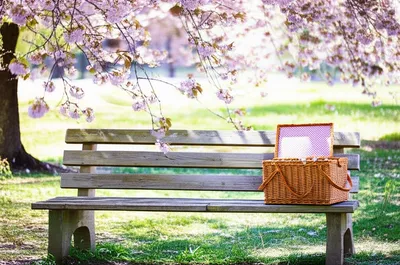 Illustration bide - Image 1