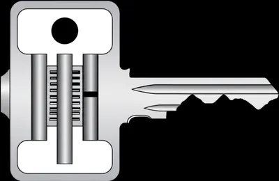 Illustration stump - Image 1