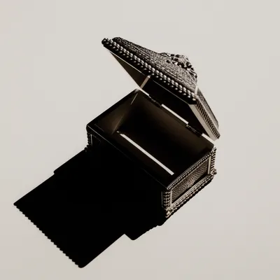 Illustration concealment - Image 1