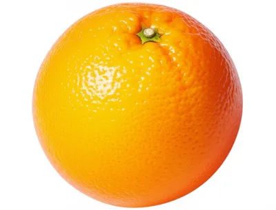 Illustration orange - Image 1