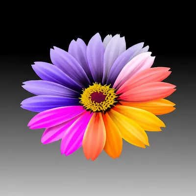 Illustration greys - Image 1