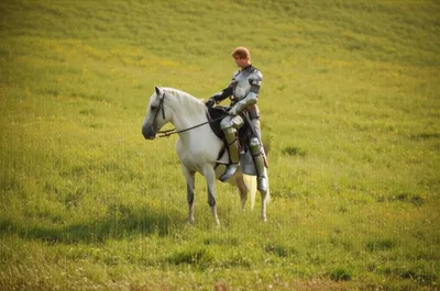 Illustration dismounted - Image 1