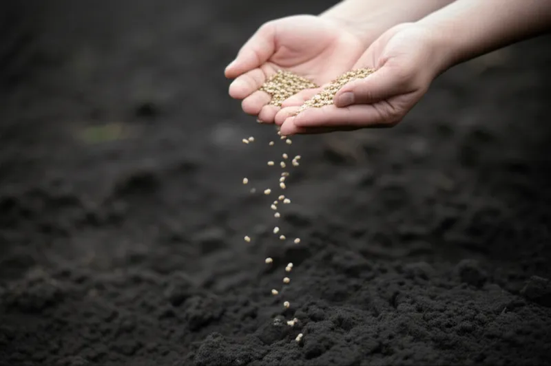 Visuelle Darstellung für das Wort „distribution" - Verteilung
