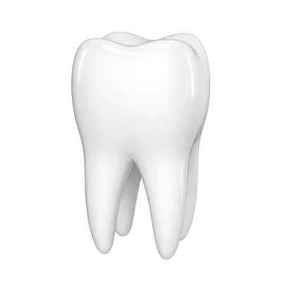 Illustration filling - Image 1