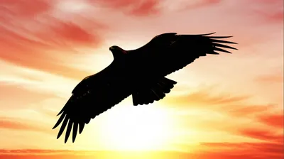 Illustration ascends - Image 1