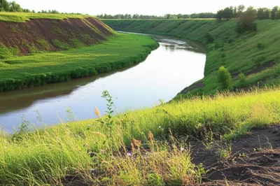 Illustration bottom - Image 1