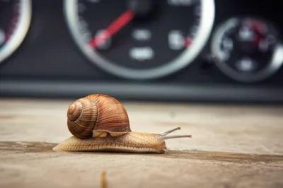 Illustration mi - Image 1