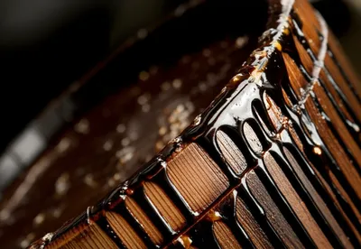 Illustration potting - Image 1