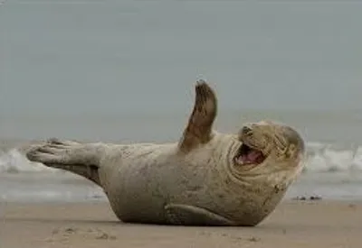 Illustration hilarious - Image 2