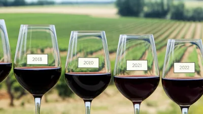 Illustration vertical - Image 1