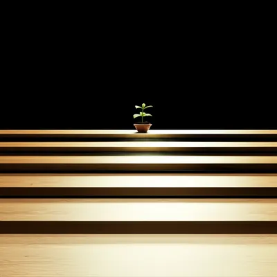 Illustration stages - Image 1